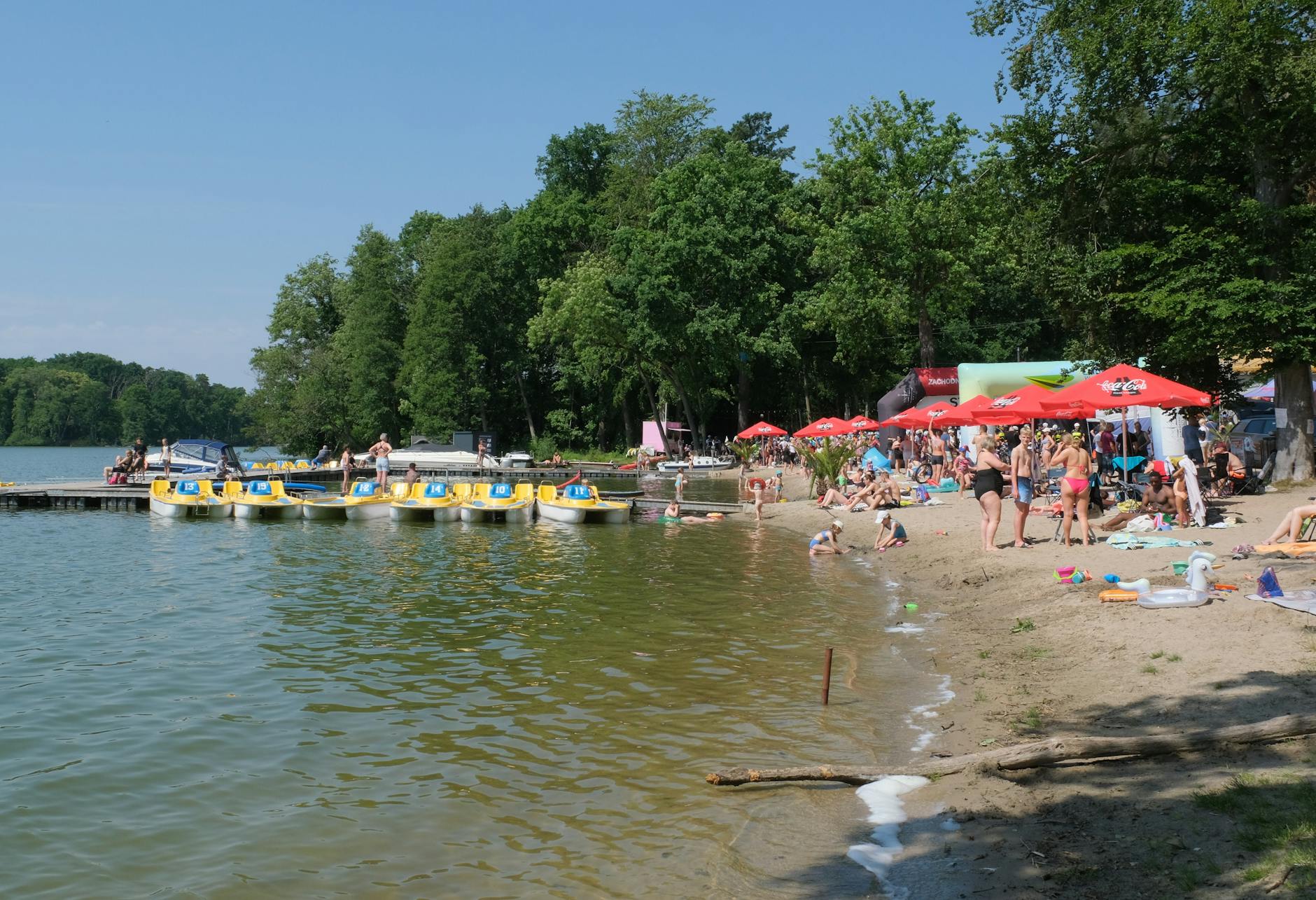 Malowniczy krajobraz rzeki Nysy Łużyckiej w Łęknicy otoczony zielenią.
